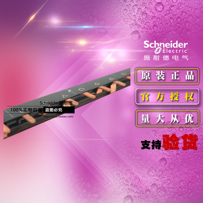 施耐德汇流排 A9XPH324 24×18mm梳状母排 3P 24回路 适用iC65 3P