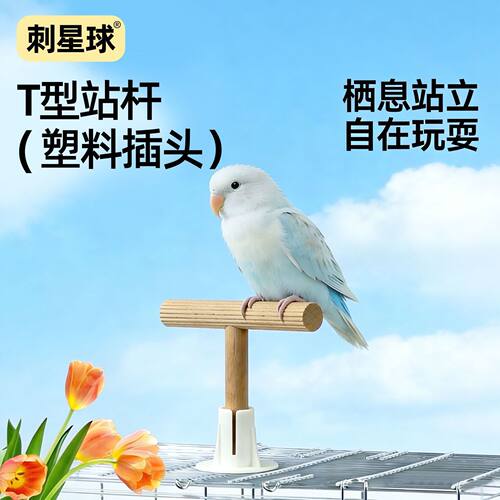 刺星球原木站杆T型站杆波浪榉木大垫片鸟玩具站杆站架互动