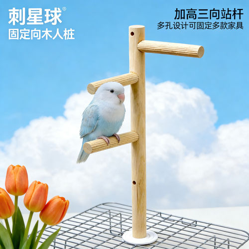 刺星球木人桩木质多功能防滑鹦鹉站杆T字栖架鸟笼多方式安装站架