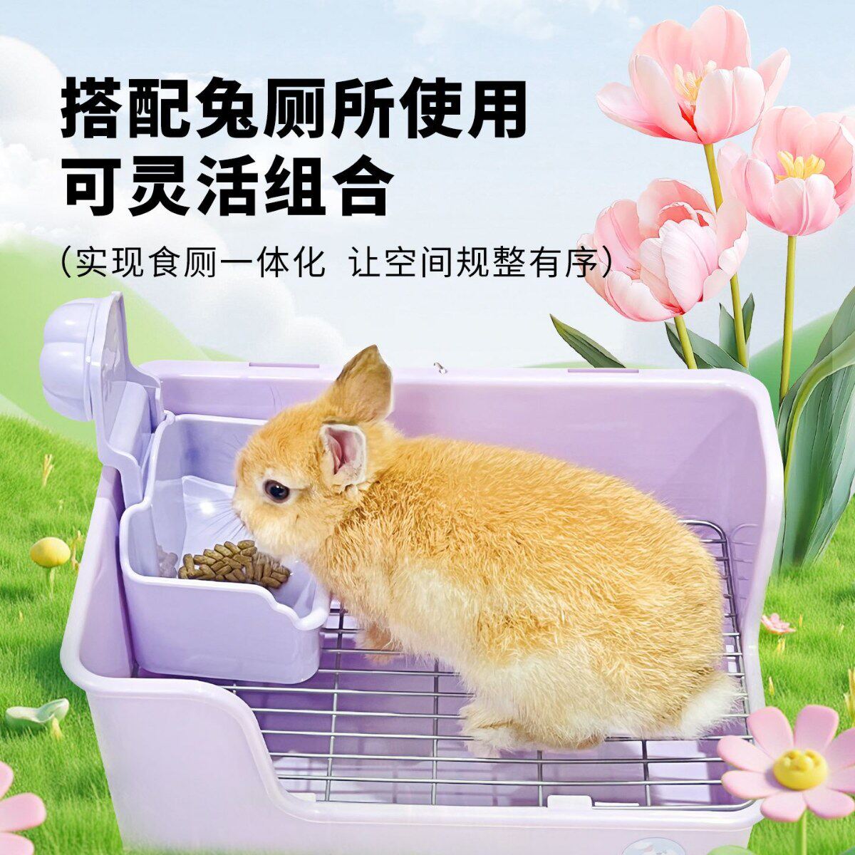 兔子挂碗奶糕食盆兔兔饭碗厕所食厕一体套餐耐用易清洁