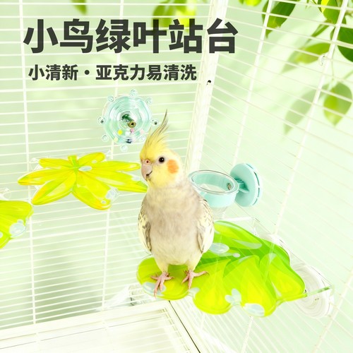 牡丹虎皮鹦鹉鸟类造景亚克力平台