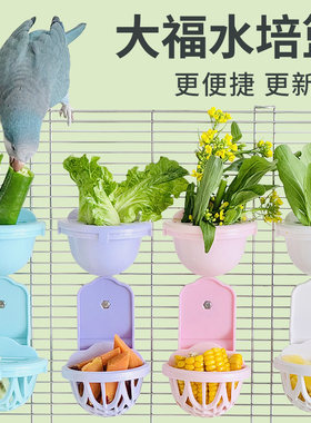 鹦鹉蔬菜大福水培瓶果蔬滤水篮悬挂式小鸟果蔬架蔬菜保鲜罐谷穗夹