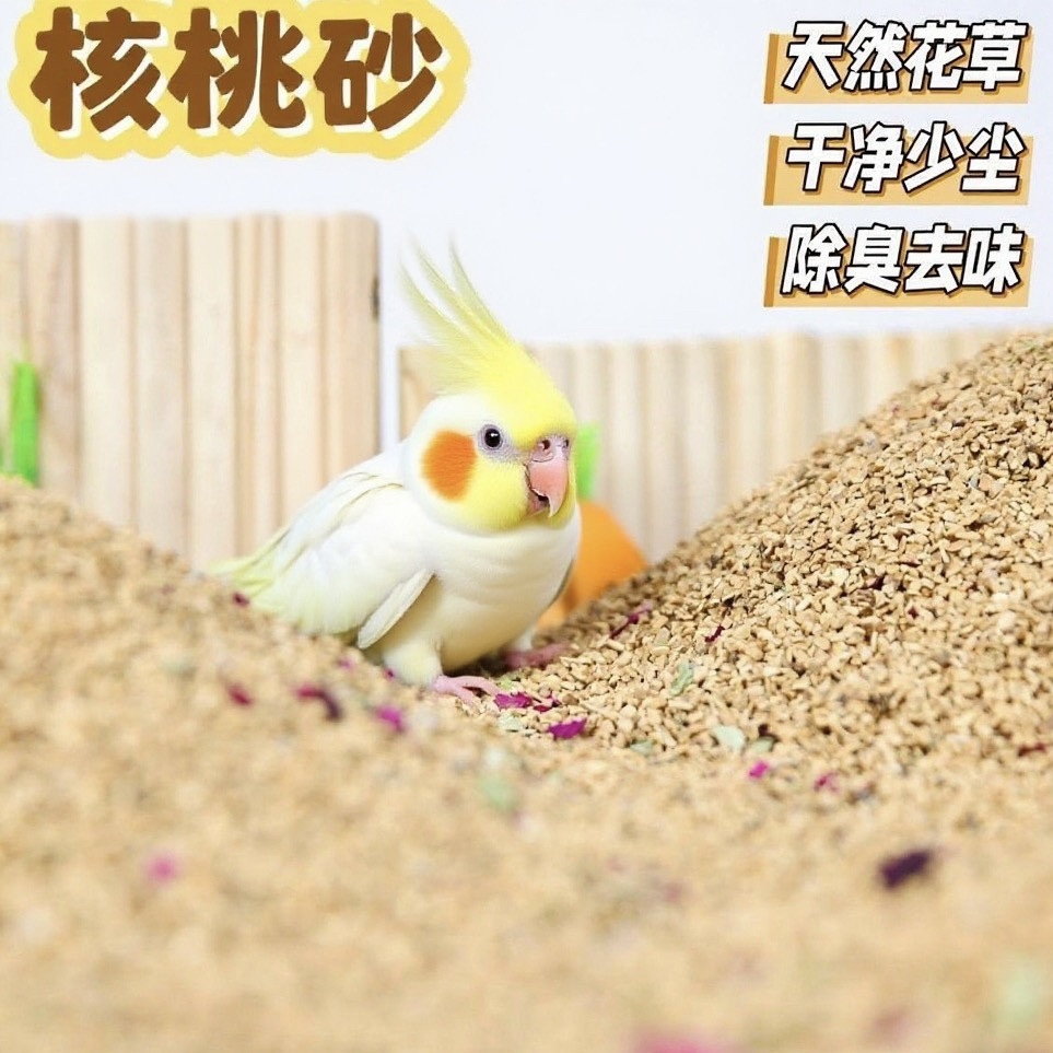 刺星球鹦鹉垫料核桃砂鸟类专用天然除臭干爽天然清香无木屑无毒