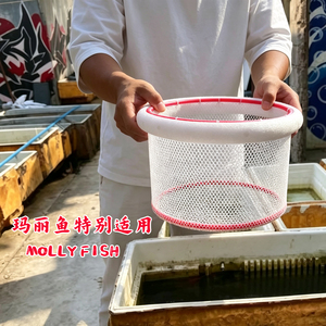 大水体鱼缸多条母鱼繁殖用隔离网