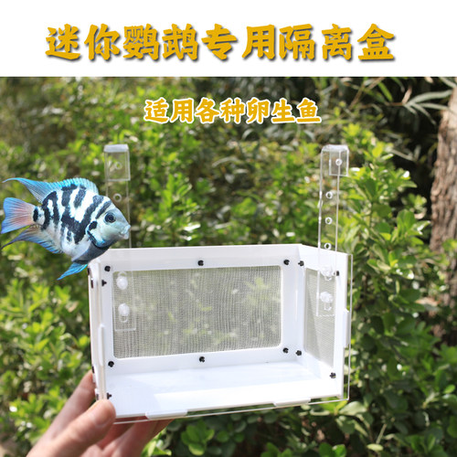 迷你鹦鹉小鱼亚克力透明隔离盒