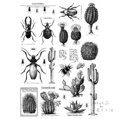 makistamps德国复古仙人掌手帐