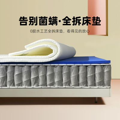 全拆式0胶水卧室床垫可调节软硬