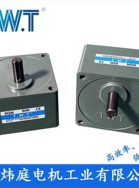 twt电机 5GN3K-180K齿轮减速箱  5GN36K 5GN60K 台湾东炜庭电机