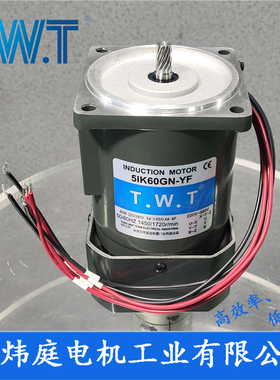 TWT电机 60W三相电机5IK60GN-YF  5IK60GN-SF 台湾东炜庭电机