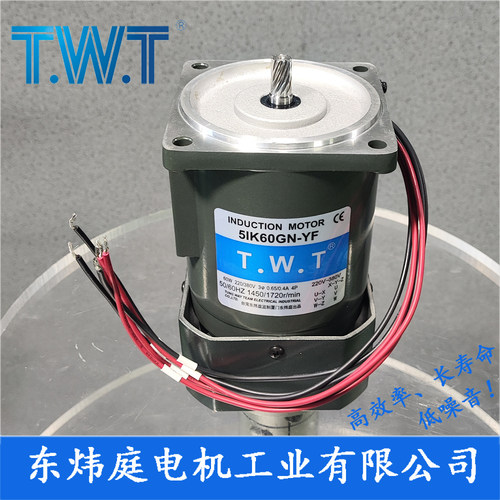 TWT电机 60W三相电机5IK60GN-YF  5IK60GN-SF 台湾东炜庭电机