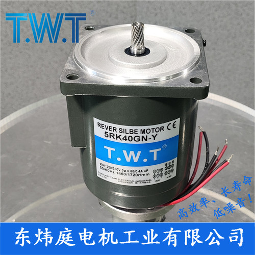 TWT电机 40W三相电机5IK40GN-Y  5RK40GN-Y  台湾东炜庭电机