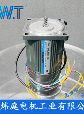 TWT电机 6W减速电机2IK6GN-C 2RK6GN-C 2IK6A-C台湾东炜庭电机