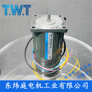 2RK6GN TWT电机 6W减速电机2IK6GN C台湾东炜庭电机 2IK6A