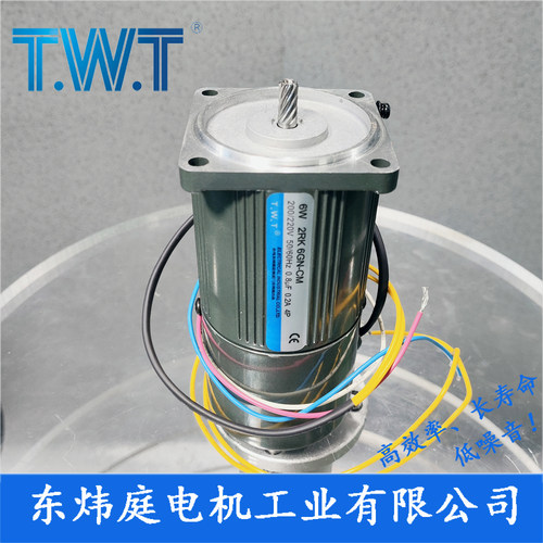 TWT电机 6W减速电机2IK6GN-C 2RK6GN-C 2IK6A-C台湾东炜庭电机