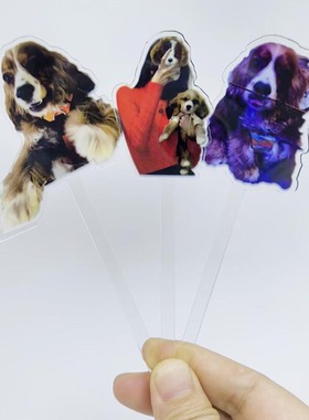 Custom Drink Stirrers 定制宠物狗猫咪头像咖啡果汁鸡尾酒搅拌棒