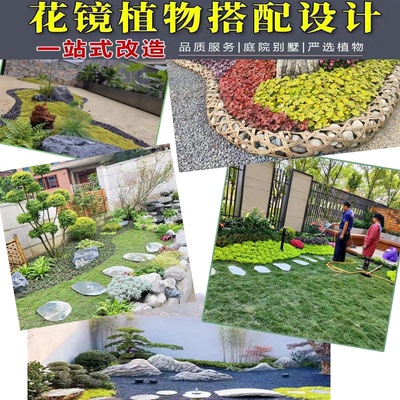成都花镜植物搭配花园设计施工