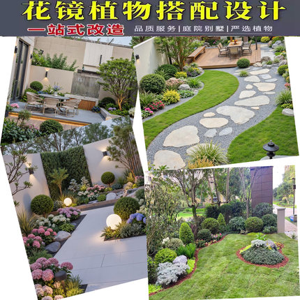 成都花镜植物搭配园林绿化屋顶花园别墅花园阳台花园造景设计施工