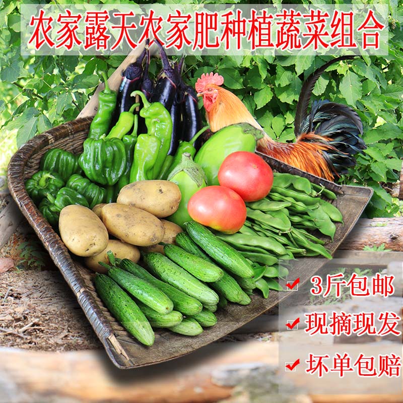 东北农家新鲜蔬菜组合油豆角茄子西红柿辣椒土豆黄瓜玉米豇豆图片