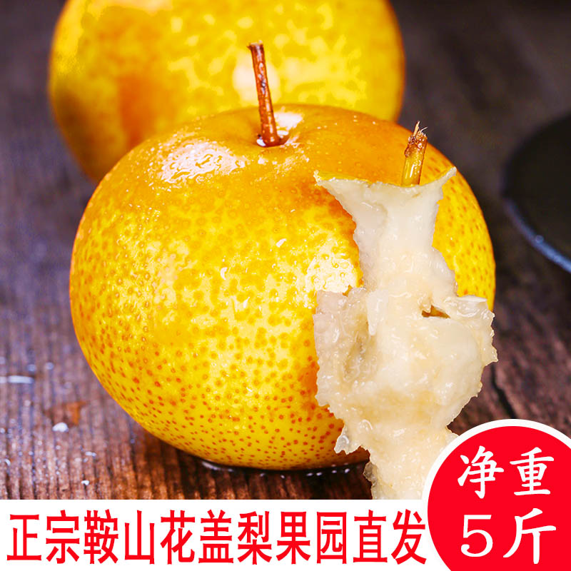 正宗新鲜花盖梨5斤10好吃东北鞍山特产酸甜梨子可做冻梨孕妇水果