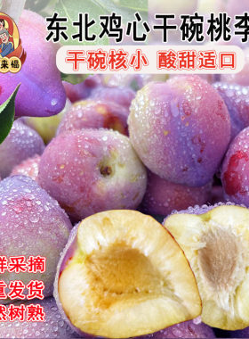 东北鸡心李子新鲜水果脱骨干核李当季5斤干碗大果吉盛桃李子