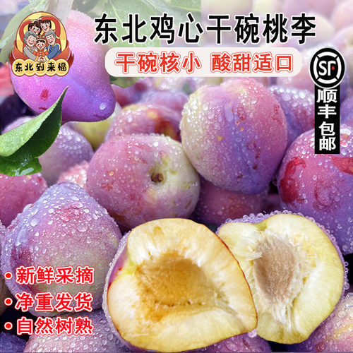 东北鸡心李子新鲜水果脱骨干核李当季5斤干碗大果吉盛桃李子