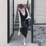 气质淡人黑色背心裙长袖T恤套装女2025秋季简约时尚连衣裙两件套，女装套装/套裙，2C077