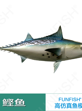 高仿真立体鱼模型单面树脂工艺品