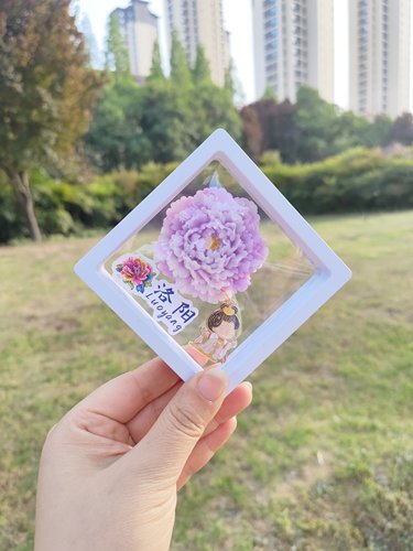 洛阳旅游牡丹花文创纪念品创意3D立体牡丹冰箱贴中国风爆款伴手礼