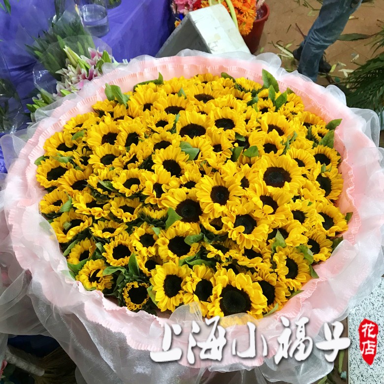 99朵向日葵求婚上海情人节鲜花
