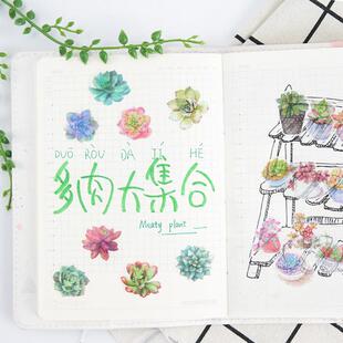 创意和纸手账贴纸 肉肉之言 异形水彩多肉控DIY装饰封口贴画6张入