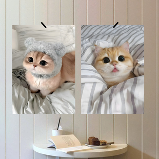 萌宠猫咪可爱海报纸画报俏皮装饰画小清新小猫软装家居背景墙装饰
