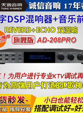 天逸AD-208 PRO专业家庭KTV混响前级效果器音响升级唱歌k歌卡拉OK