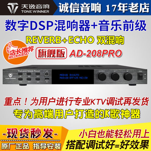 天逸家用专业K歌KTV混响音乐前级
