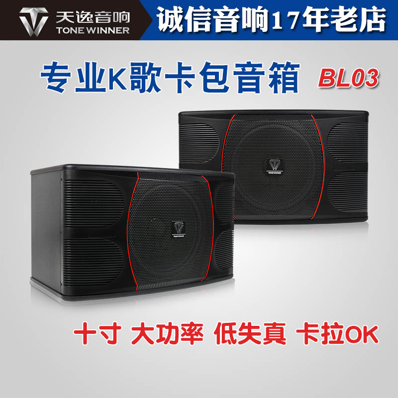 天逸 百灵三号BL-03专业卡拉OK音箱卡包大功率KTV演唱家用K歌10寸
