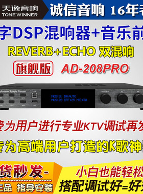 天逸AD-208 PRO专业家庭KTV混响前级效果器音响升级唱歌k歌卡拉OK