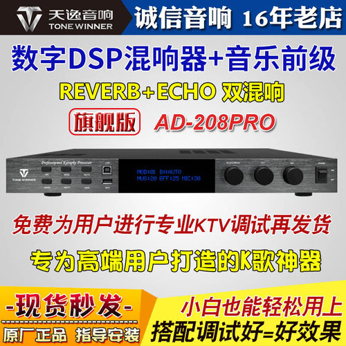 天逸家用专业K歌KTV混响音乐前级
