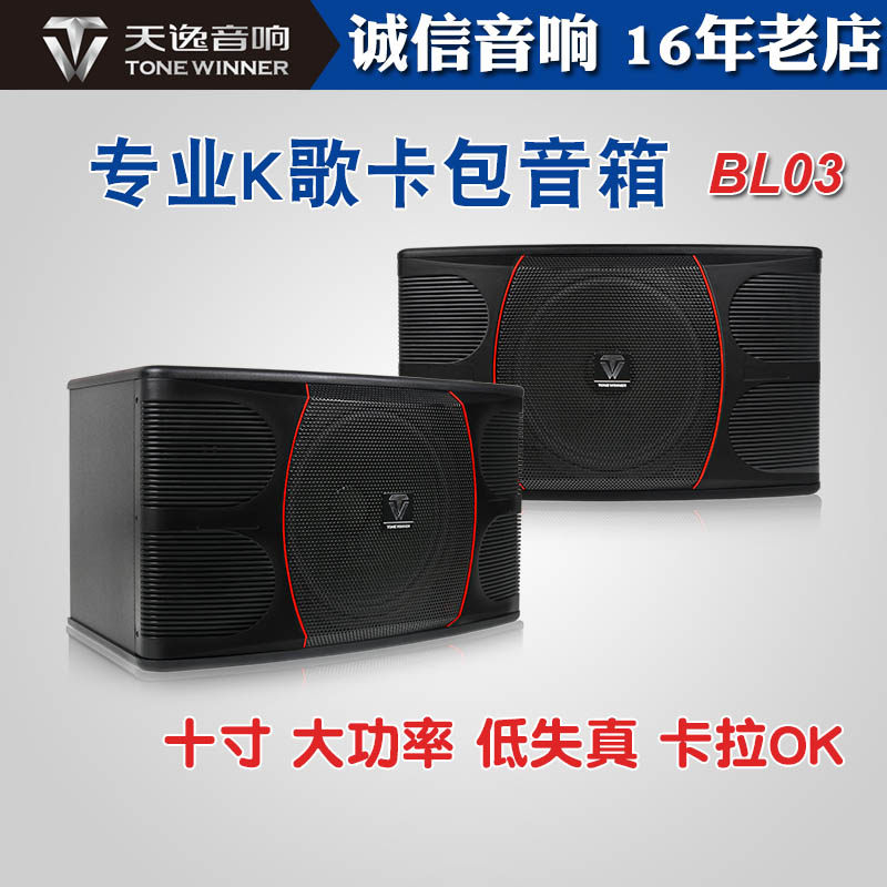 天逸 百灵三号BL-03专业卡拉OK音箱卡包大功率KTV演唱家用K歌10寸
