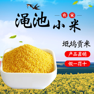 河南渑池2023新米坻坞精品贡米净含量一袋五斤装 限区包邮