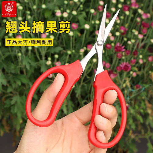 大吉翘头剪刀果枝剪采摘水果剪刀