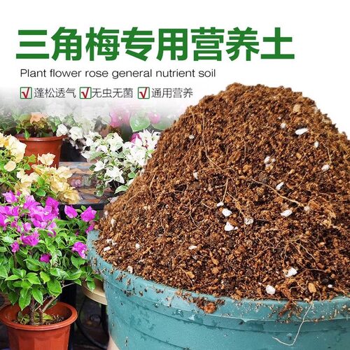 三角梅专用鸭粪营养土透气家用盆栽种植酸性土花泥肥料植物通用土