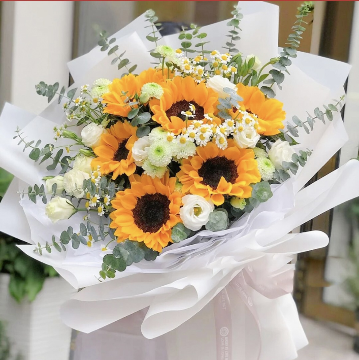 昆明花店昆明鲜花速递 祝福鲜花 6朵向日葵 混搭花束