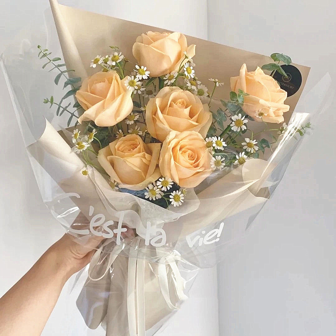 6朵香槟玫瑰探望生日昆明鲜花