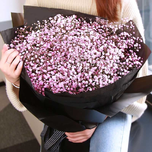 粉色满天星生日昆明鲜花