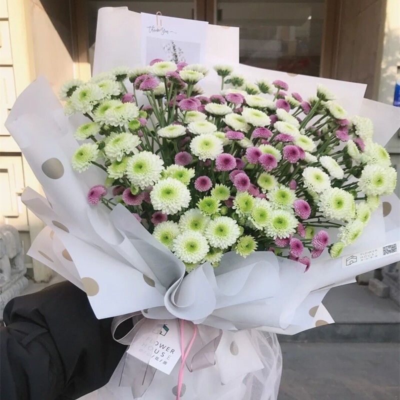 白色小雏菊朋友祝福昆明鲜花