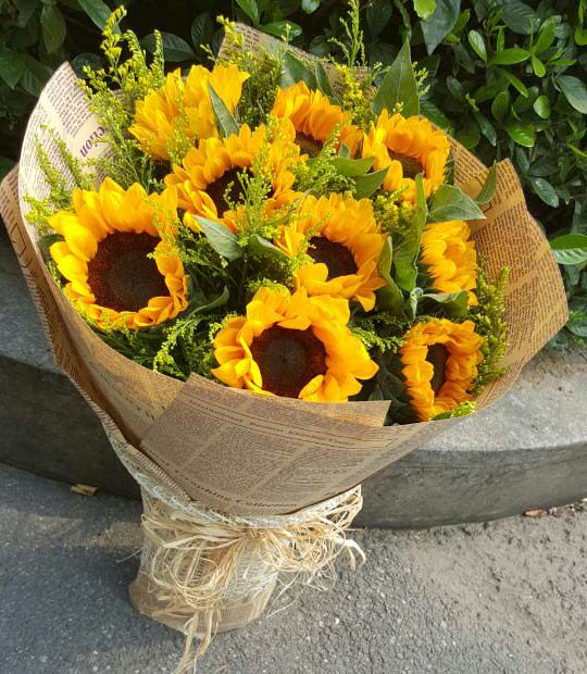 昆明花店昆明鲜花速递 祝福友情老师鲜花 向日葵