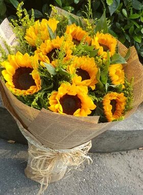 老师向日葵昆明鲜花祝福友