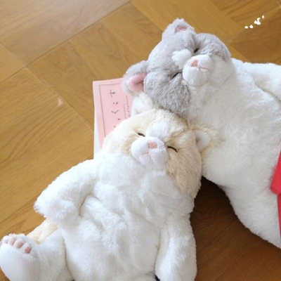 日本sunlemon瞌睡猫毛绒玩偶小猫公仔娃娃生日礼物新年女生玩具