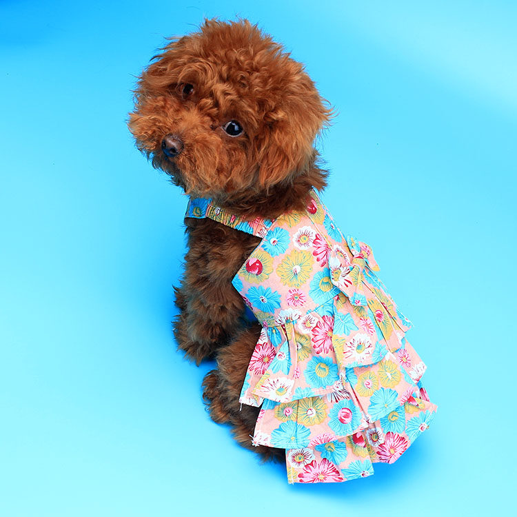 包邮宠物狗狗裙子衣服泰迪比熊