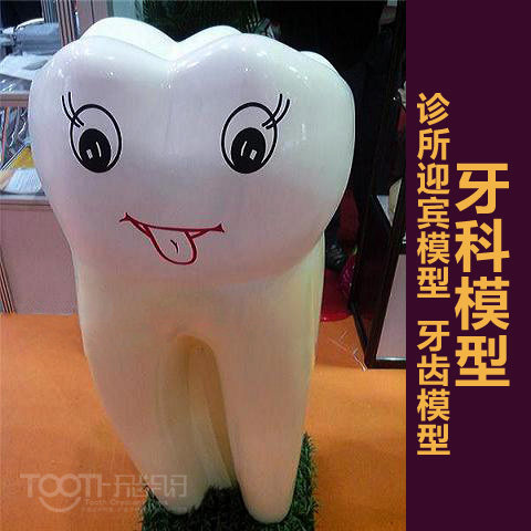 口腔科牙齿模型塑钢可爱摆件
