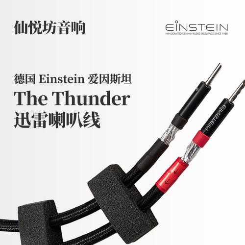 德国Einstein爱因斯坦hifi喇叭线